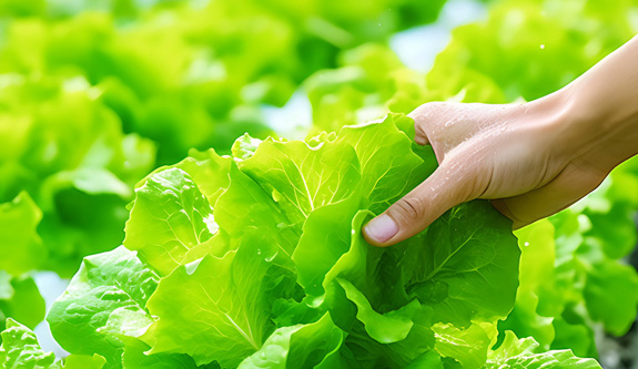 有预防脑梗的好处